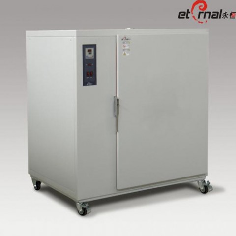 Electric motor drying oven